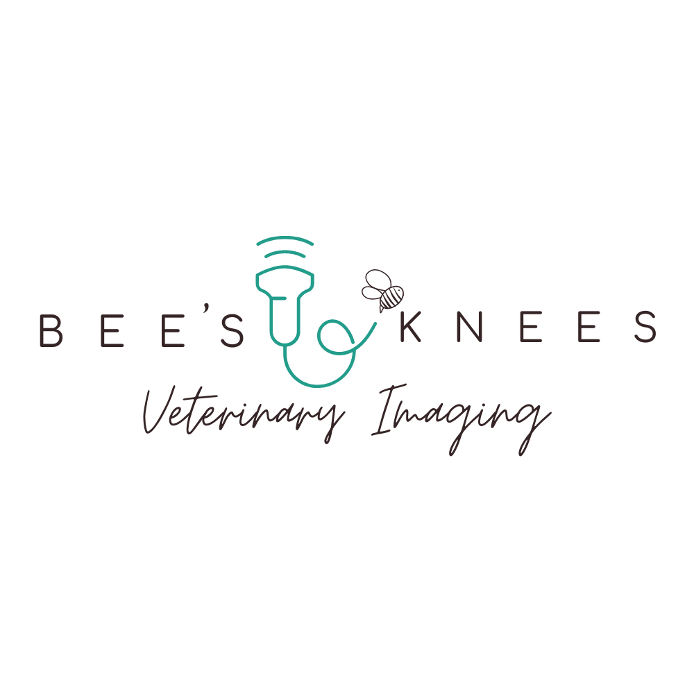 Bee's Knee's Logo